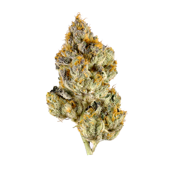 Oreoz - Indica Hybrid  | Flower