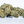 Oreoz - Indica Hybrid  | Flower