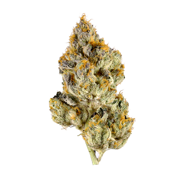 The CEO - Sativa Hybrid | Flower